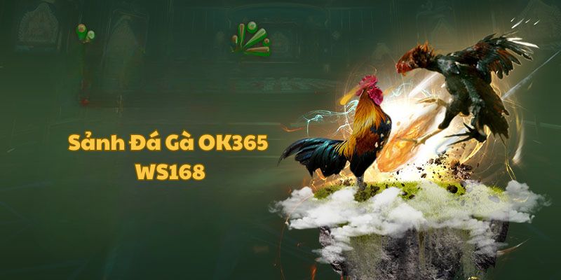 Sảnh cược đá gà OK365 WS168